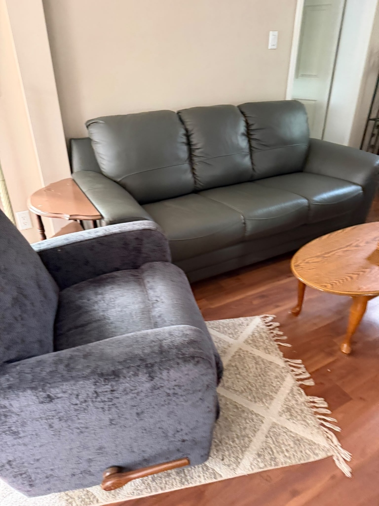 Living Room Furniture Ready for Safe Moving